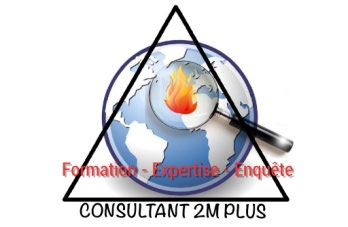 Logo Consultant 2M Plus