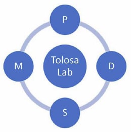 Logo Tolosa Lab